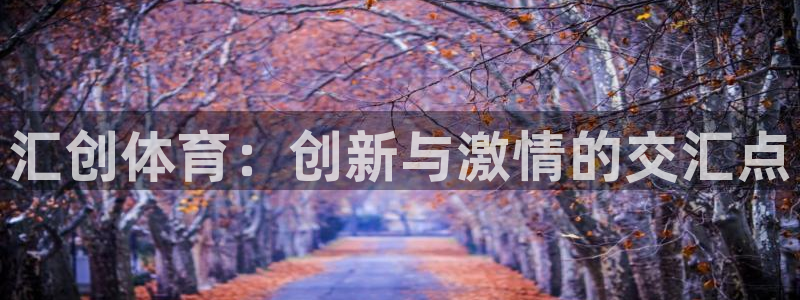 汇创体育：创新与激情的交汇点