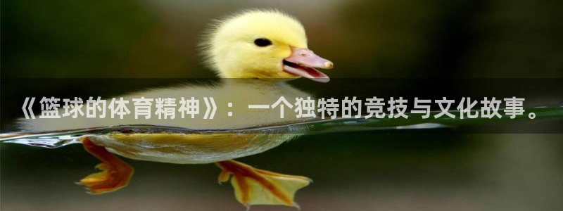 《篮球的体育精神》：一个独特的竞技与文化故事。