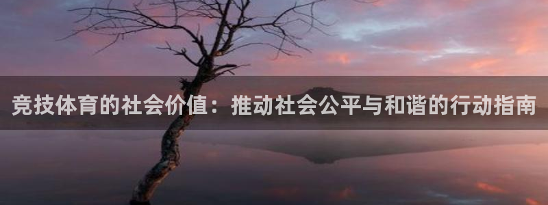 竞技体育的社会价值：推动社会公平与和谐的行动指南