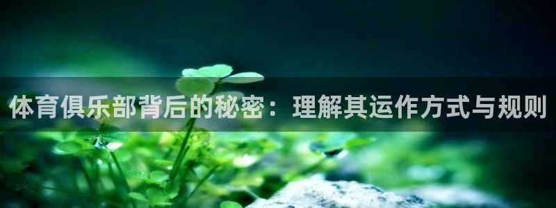 体育俱乐部背后的秘密：理解其运作方式与规则