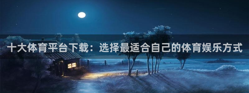 十大体育平台下载：选择最适合自己的体育娱乐方式